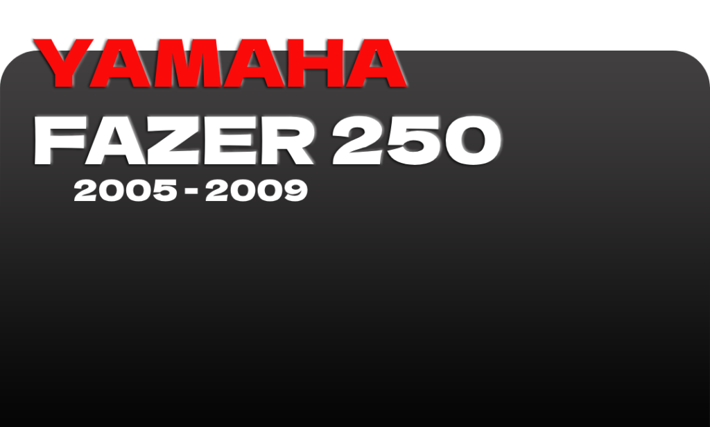 FAZER 250 2005 2006 2007 2008 2009